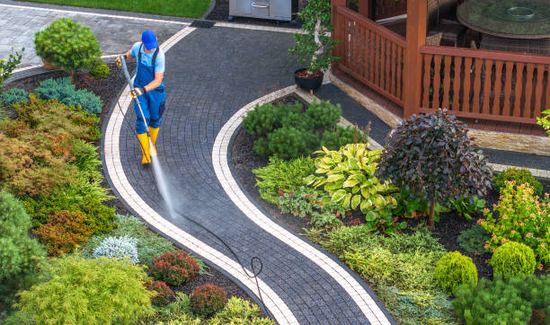 Best Pressure Washing Near Me  in Northford, CT